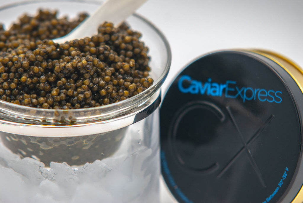Caviar Cup Server with Silver Rim, close up with Russian Grade Ossetra Caviar