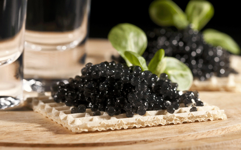 Caviar Express American grown Siberian Sturgeon Caviar closeup