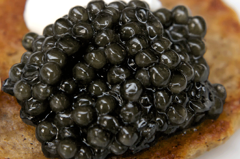 Beautiful California grown White Sturgeon caviar from Caviar Express