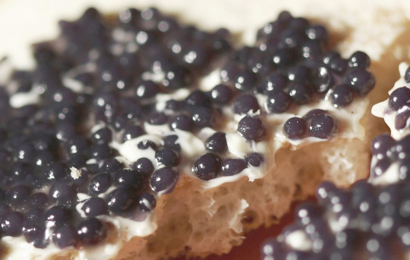 Caviar Express American Paddlefish Caviar Closeup