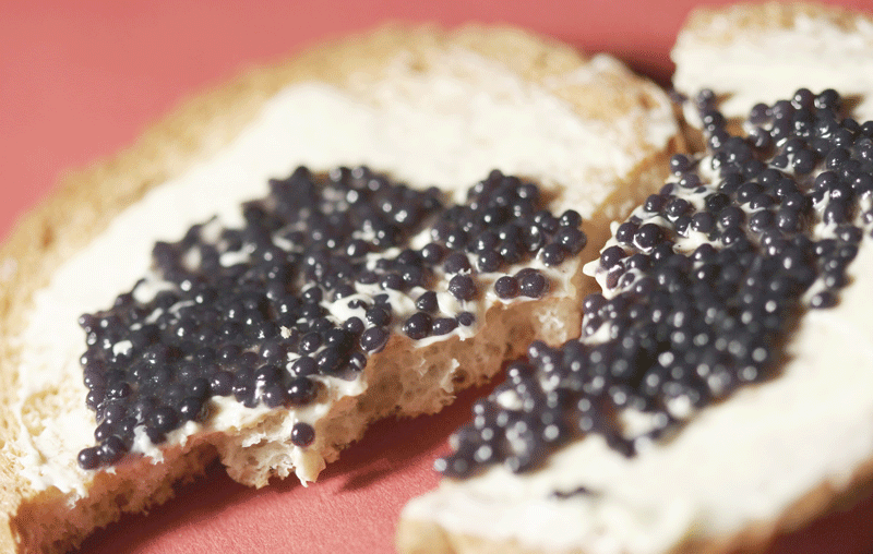 Caviar Express American Paddlefish Caviar