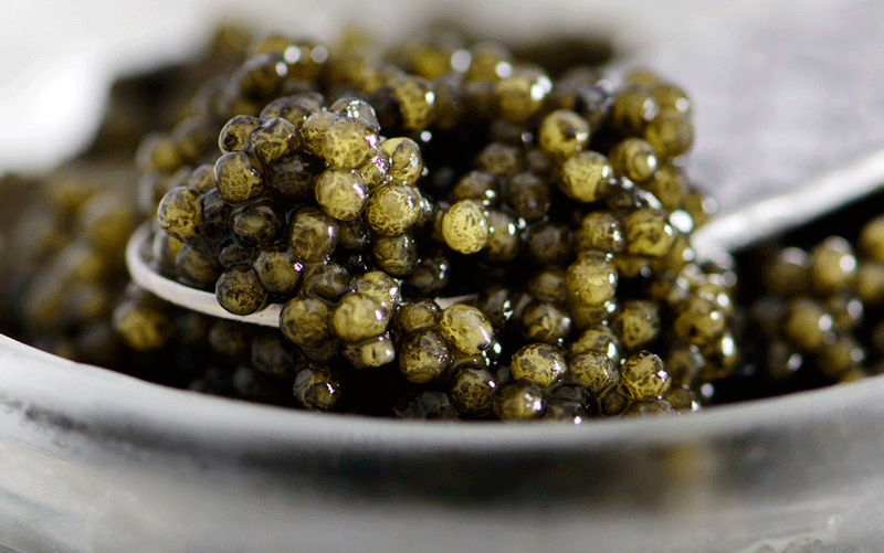 Russian Volga Reserve Ossetra Caviar