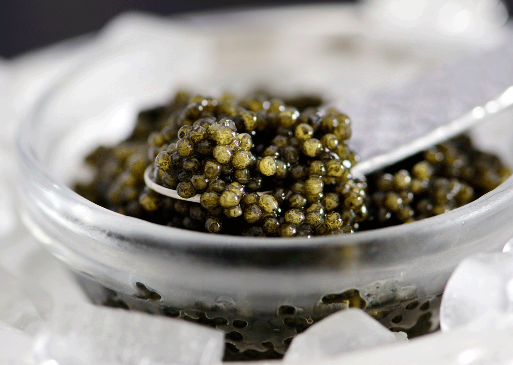 Russian Volga Reserve Ossetra Caviar